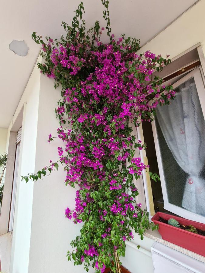 Casa Dell 2 Appartement *